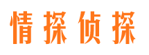 磐石寻人公司